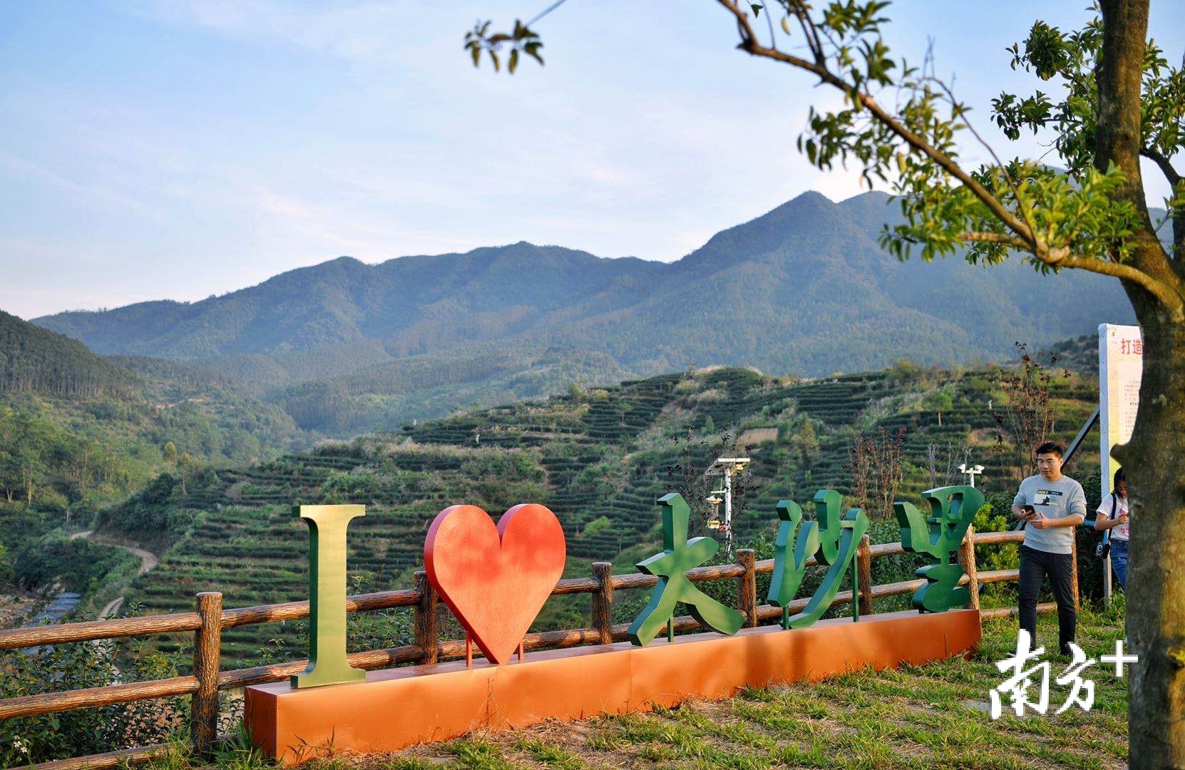 远看是山黛,近看是茶绿。走进群联村大沙里茶园,一片片茶梯田,层层叠嶂,犹如展开一幅美丽画卷。 远看是山黛,近看是茶绿。走进群联村大沙里茶园,一片片茶梯田,层层叠嶂,犹如展开一幅美丽画卷。
