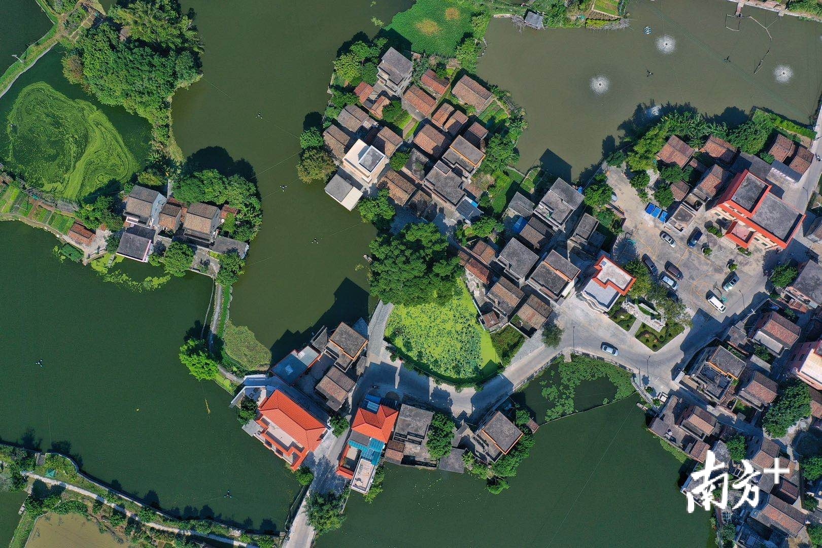树影婆娑,鱼塘泛碧,石桥流水,特色民居,构成一幅人与自然和谐共生的图景。 树影婆娑,鱼塘泛碧,石桥流水,特色民居,构成一幅人与自然和谐共生的图景。