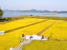 网投首日票数破百万！全省各地齐为广东美丽乡村打Call