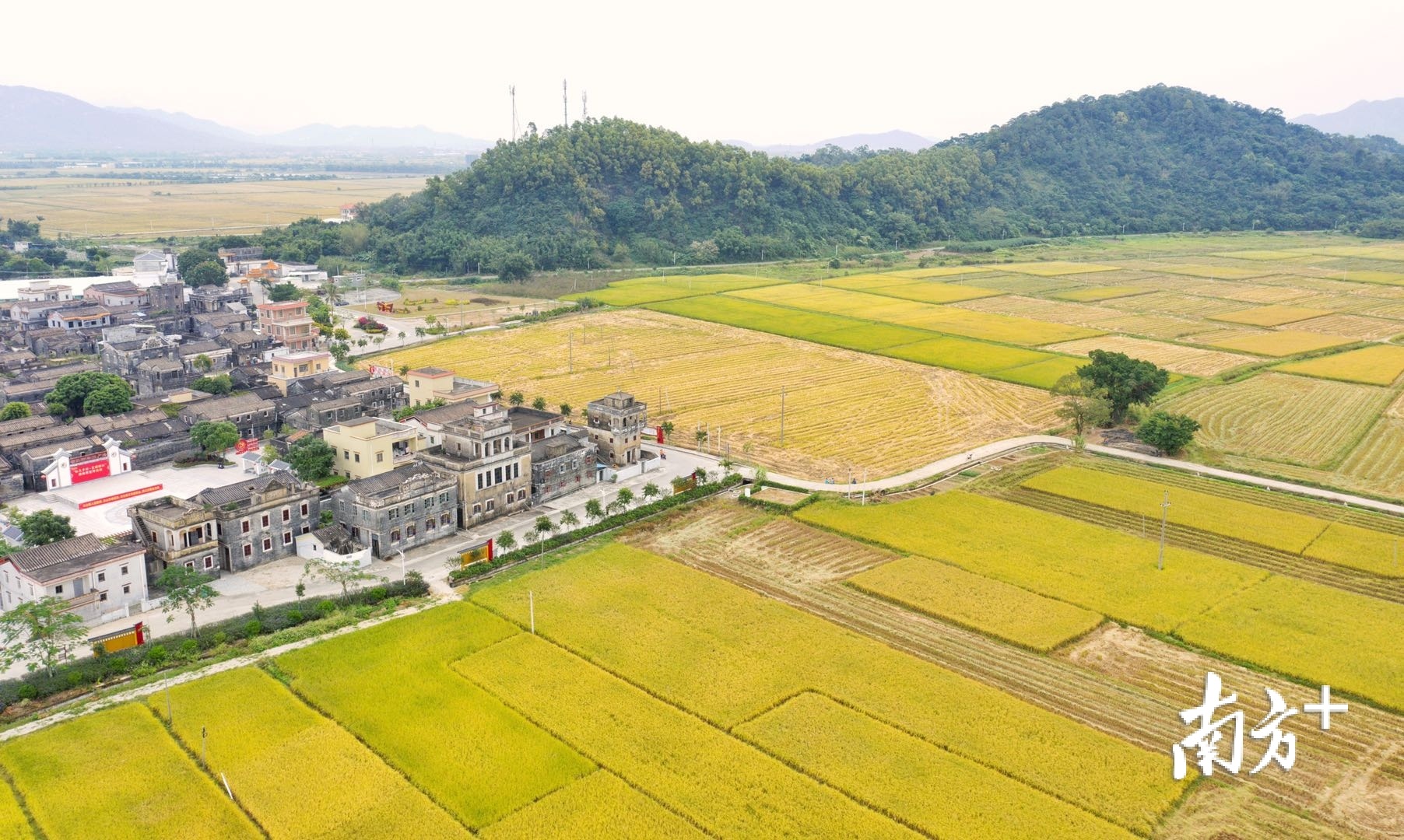 横江村与浮石村仅一路之隔。丰收时节,千亩稻浪涌动,村内新谷飘香。 横江村与浮石村仅一路之隔。丰收时节,千亩稻浪涌动,村内新谷飘香。