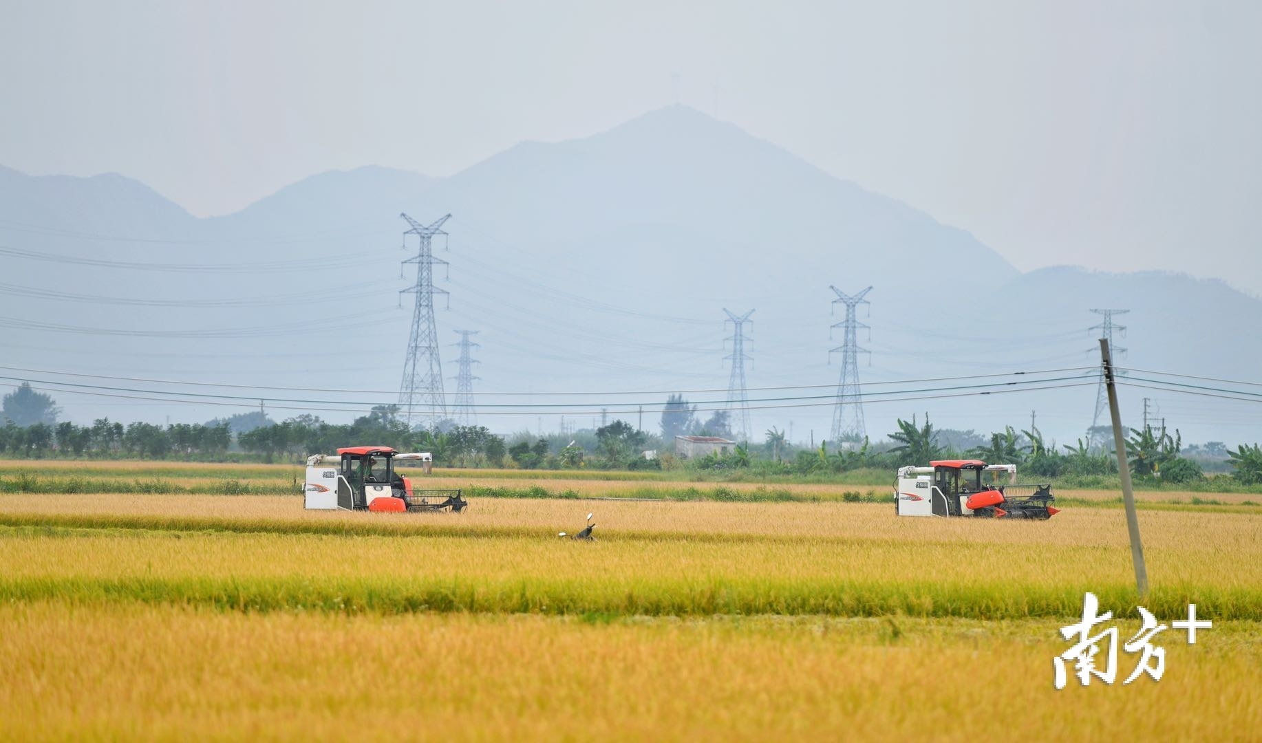 一侧是古色古香的传统村落,一侧是现代化的丰收图景,恰似田园诗遇上狂想曲。 一侧是古色古香的传统村落,一侧是现代化的丰收图景,恰似田园诗遇上狂想曲。