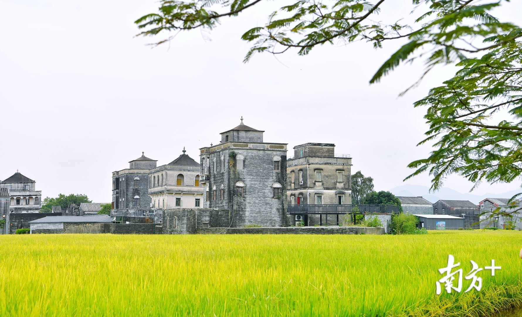 浮月村因“洋楼”闻名遐迩,现存15座洋楼均为旅居美国的浮月乡亲于民国时期修建而成。 浮月村因“洋楼”闻名遐迩,现存15座洋楼均为旅居美国的浮月乡亲于民国时期修建而成。