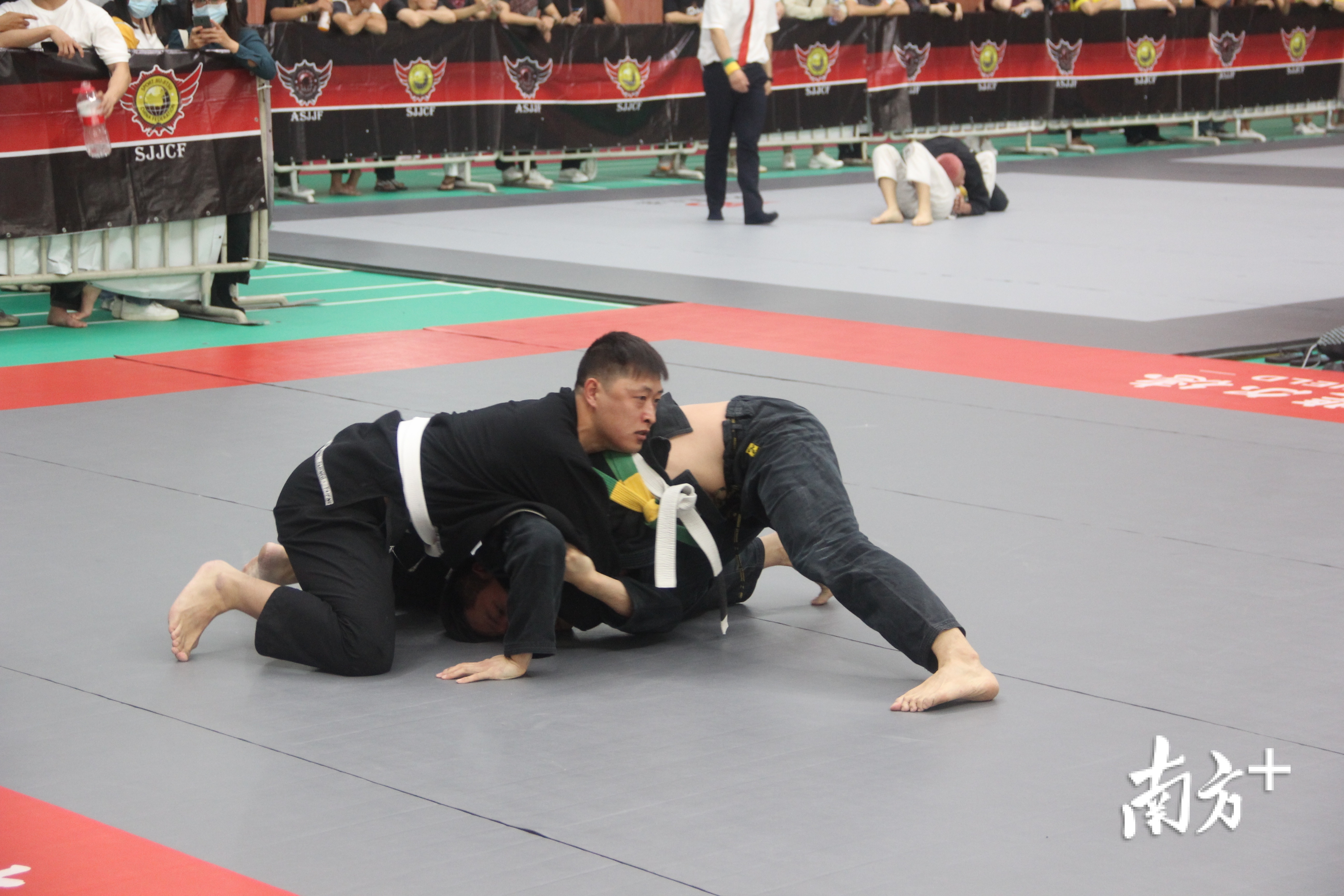 佛山特警罗茂雨参加巴西柔术比赛。