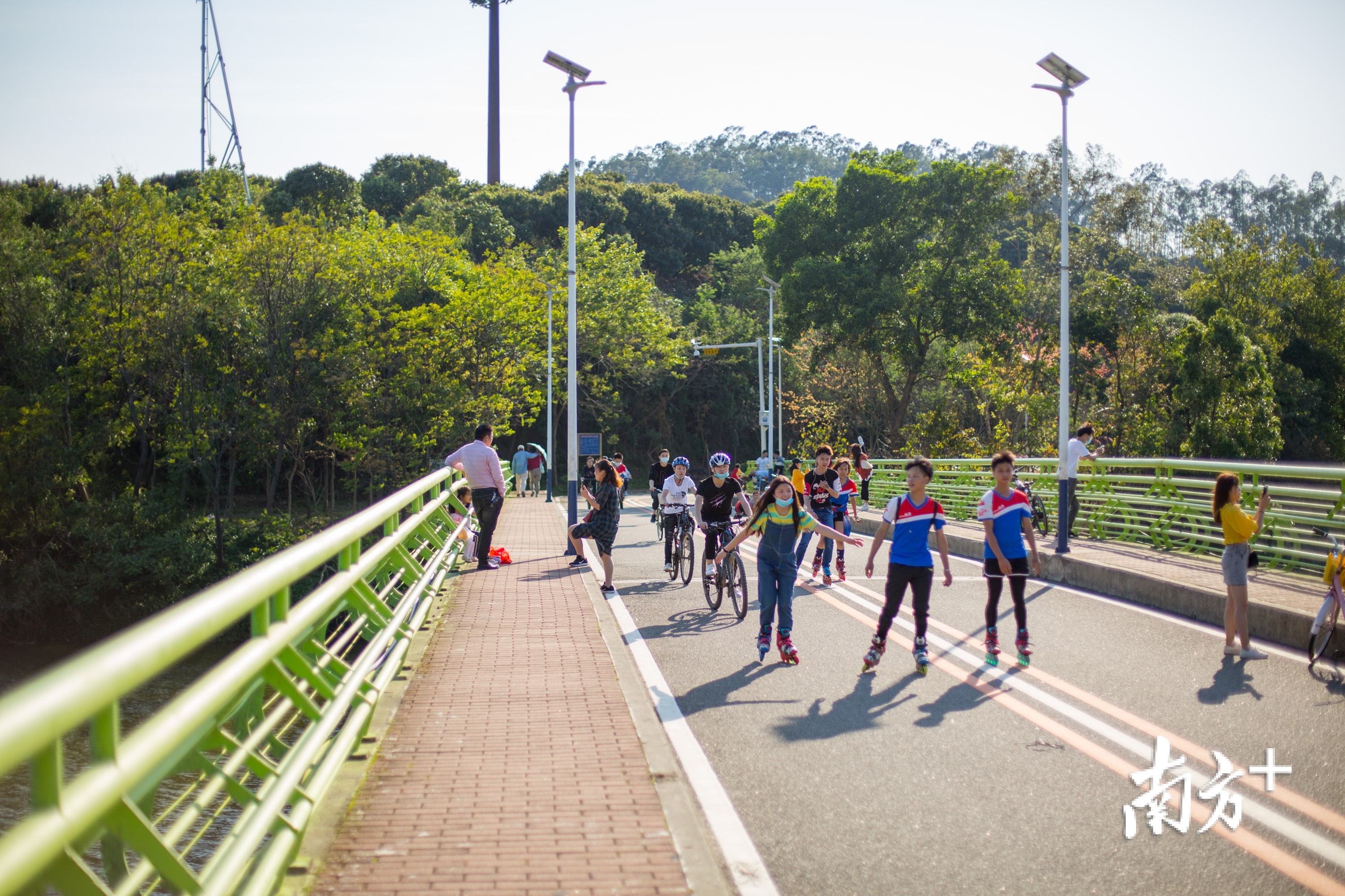 森林公园也吸引了轮滑队前来游玩。