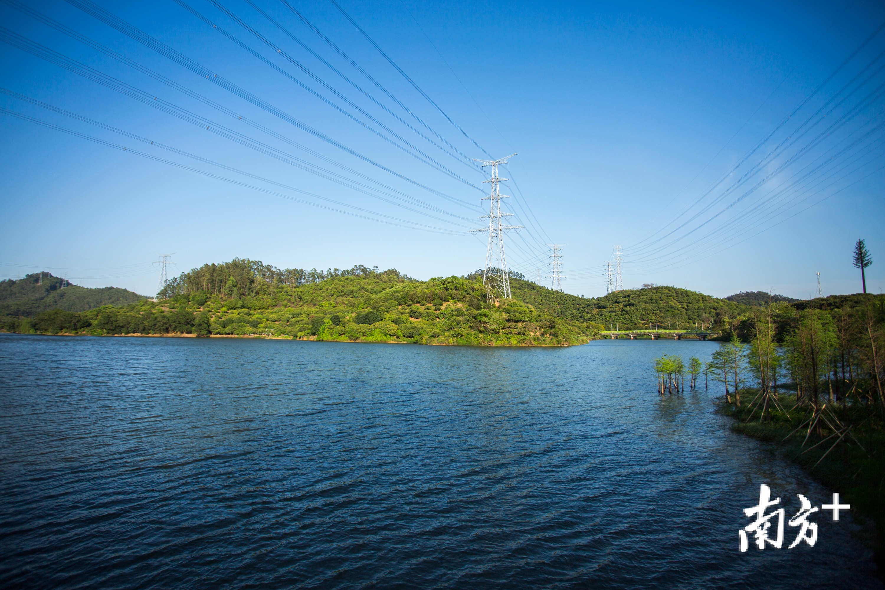 占地超万亩的国家农业公园呼之欲出,黄江加快迈向"公园城市"