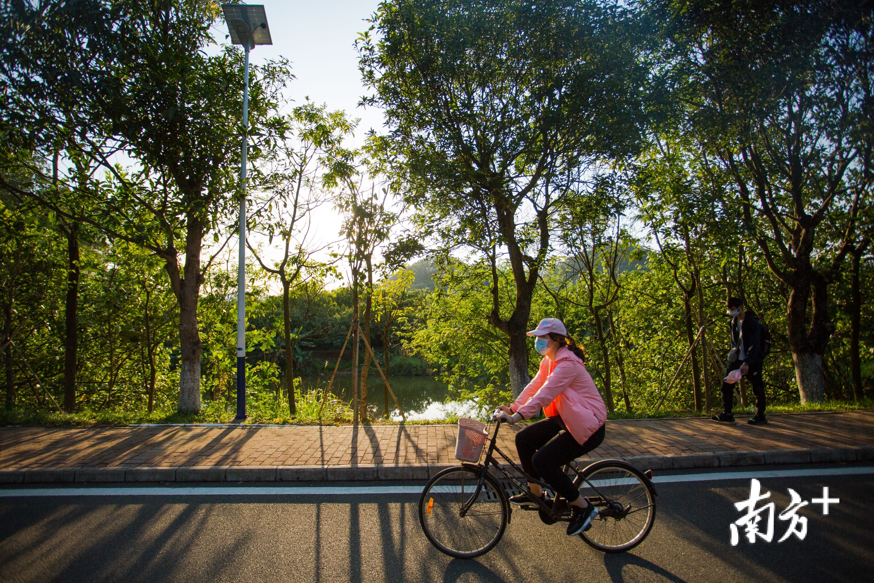 游客在阳光下骑行。