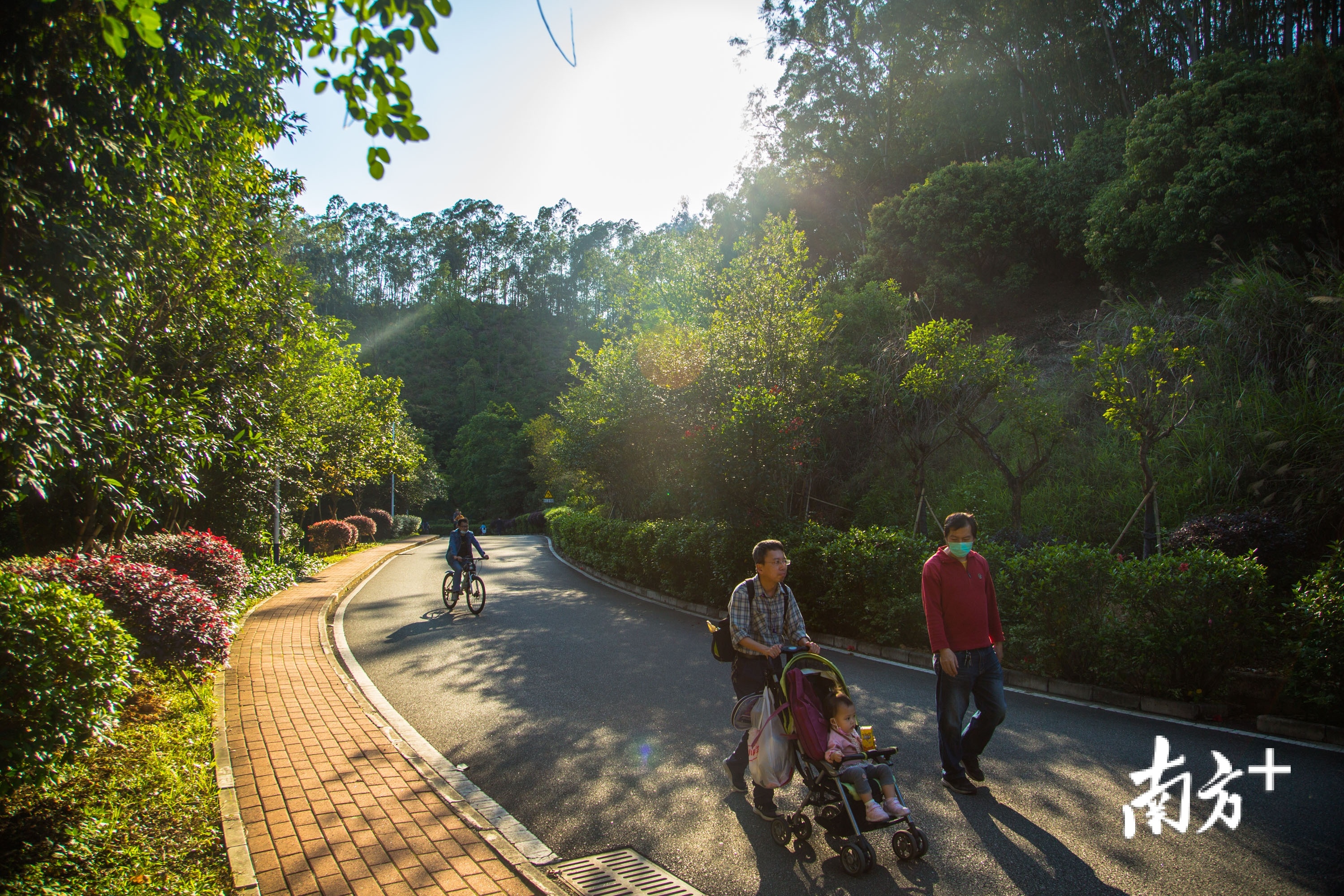 绿道步行的游客.