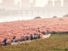 图说芦苞 | “城市三水·镜美湾区”采风作品优选④