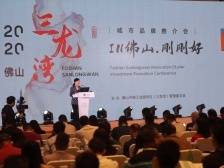 佛山制造拥抱深圳创新，三龙湾城市品牌推介会首次走进深圳