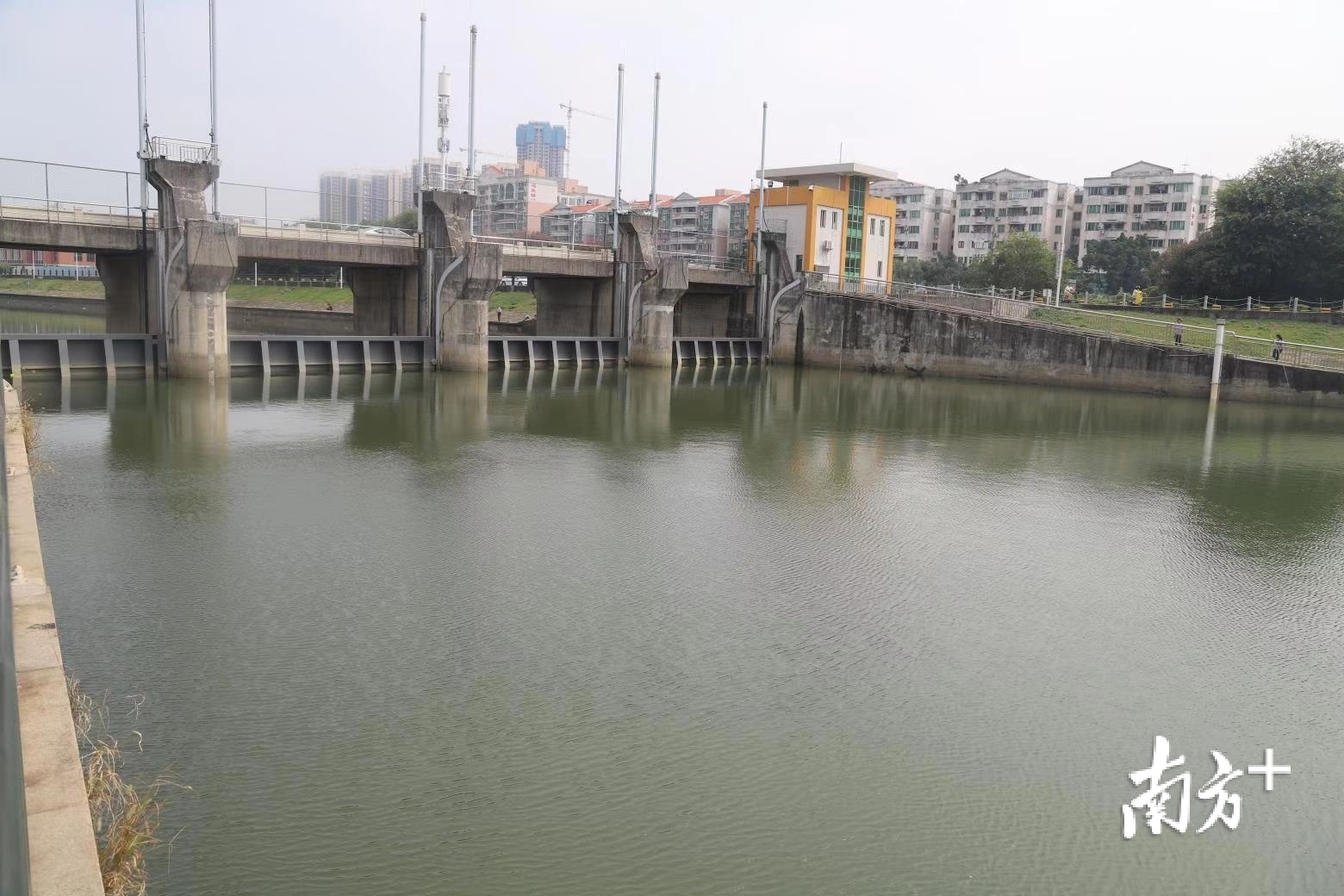 莞通1号顺利穿越东引运河地铁1号线滨莞区间年底贯通