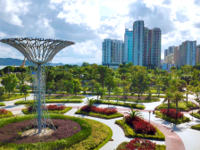 特区40年轮 | 2016：创文强管，下绣花功夫 绘文明画卷