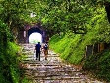 广东这项工程，为何八成受访村民都夸好？|微报告