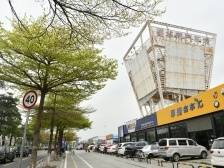 城乡融合看南海⑤丨“四集中”推动南海空间再造