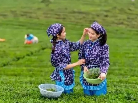 不冷不热时节，到博罗吃喝玩乐刚刚好！