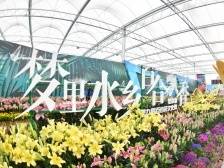城乡融合看南海⑦丨投超10亿建万亩农业示范片区，促城乡融合发展