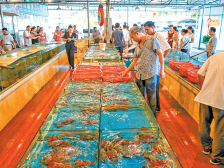 陈村街道：升级海鲜一条街 激发城镇新活力|回眸“十三五”·镇街印象