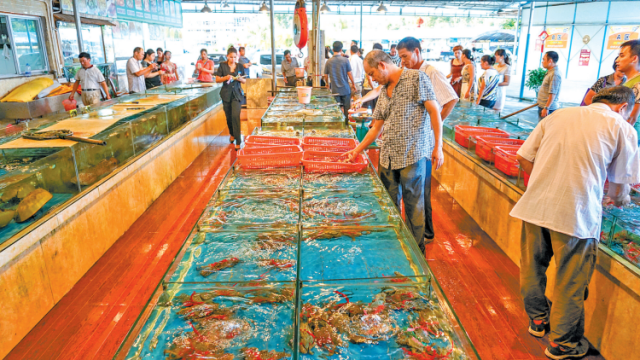 陈村街道：升级海鲜一条街 激发城镇新活力|回眸“十三五”·镇街印象