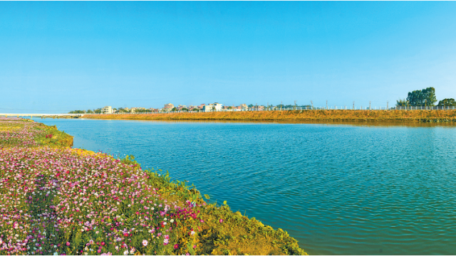 建美丽河湖，促人水和谐！看水环境治理新成效|