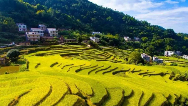 来了!广东赏秋指南上线,茂名竟藏着这么美的赏秋地!