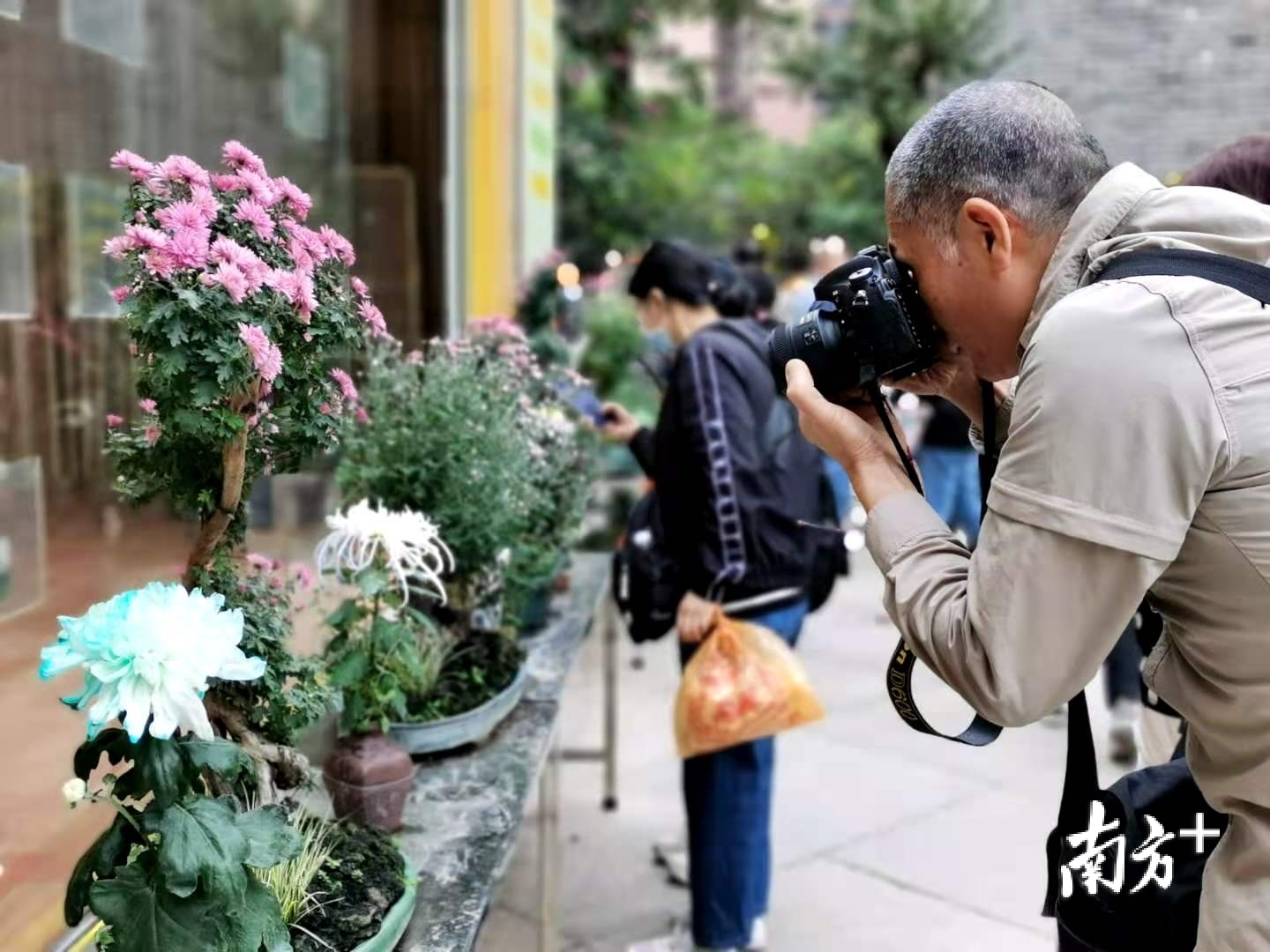 你拍我，我拍你。