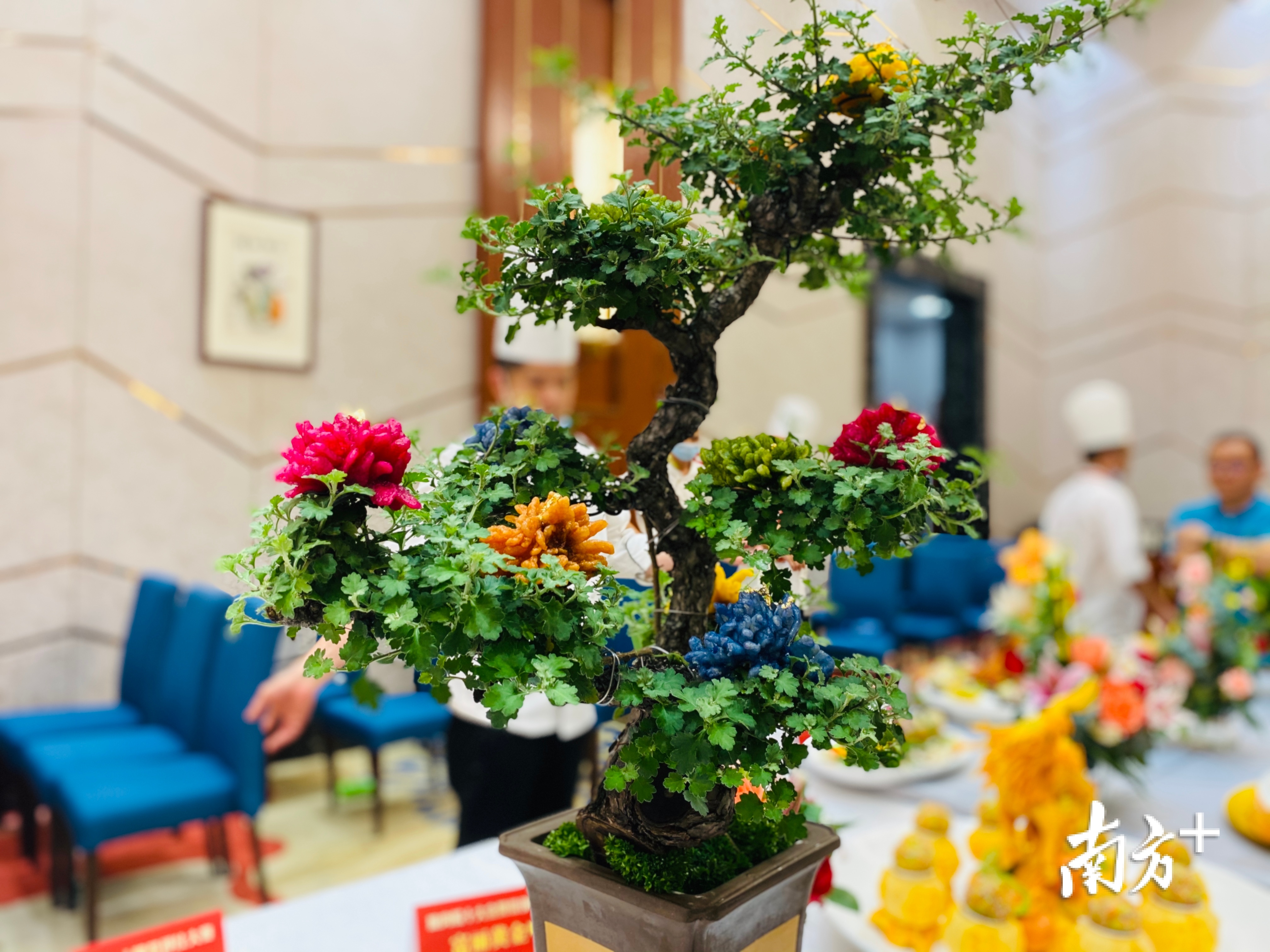 “五彩脆菊花”