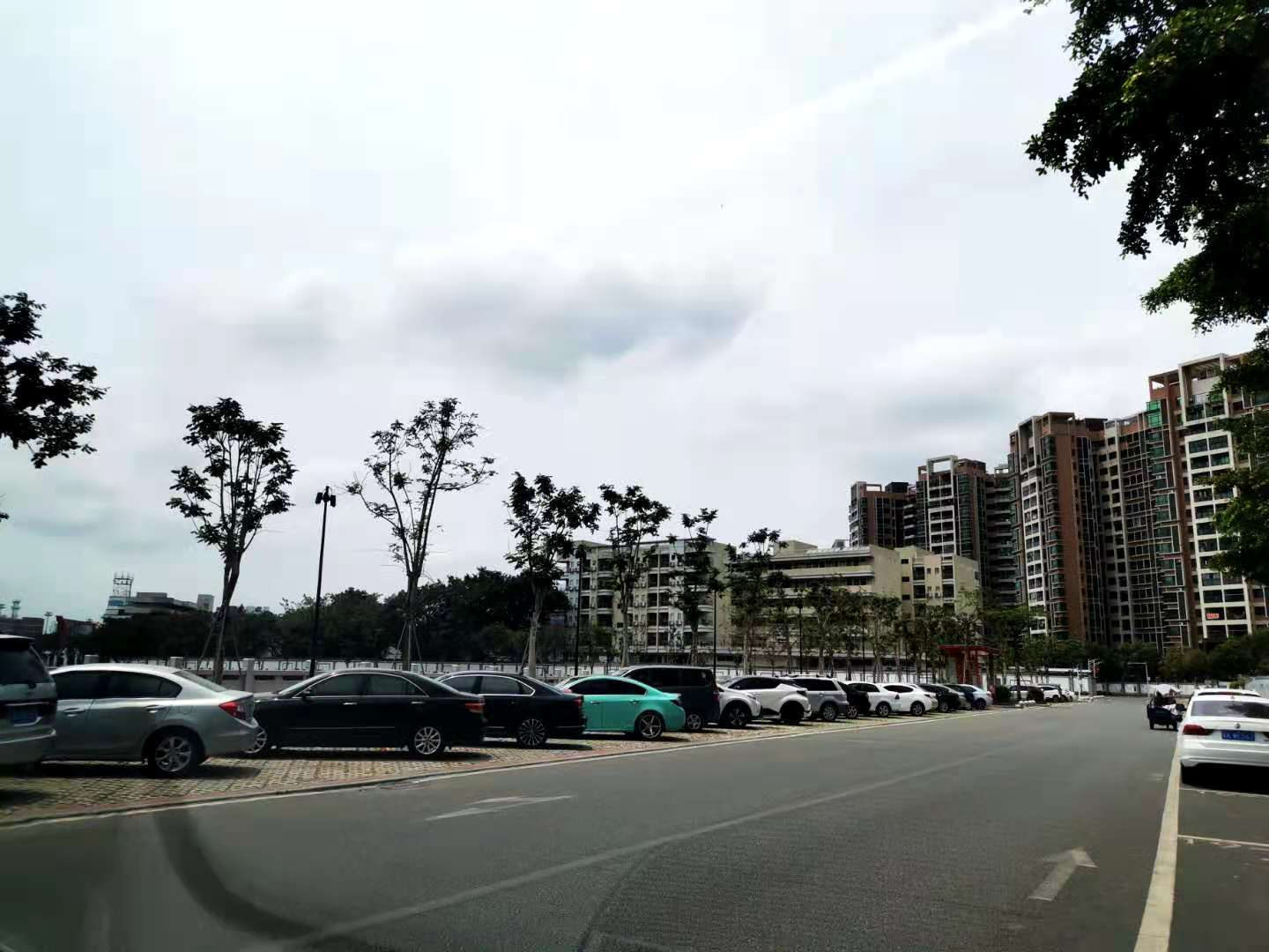 中堂镇路边停车现状。 中堂镇路边停车现状。