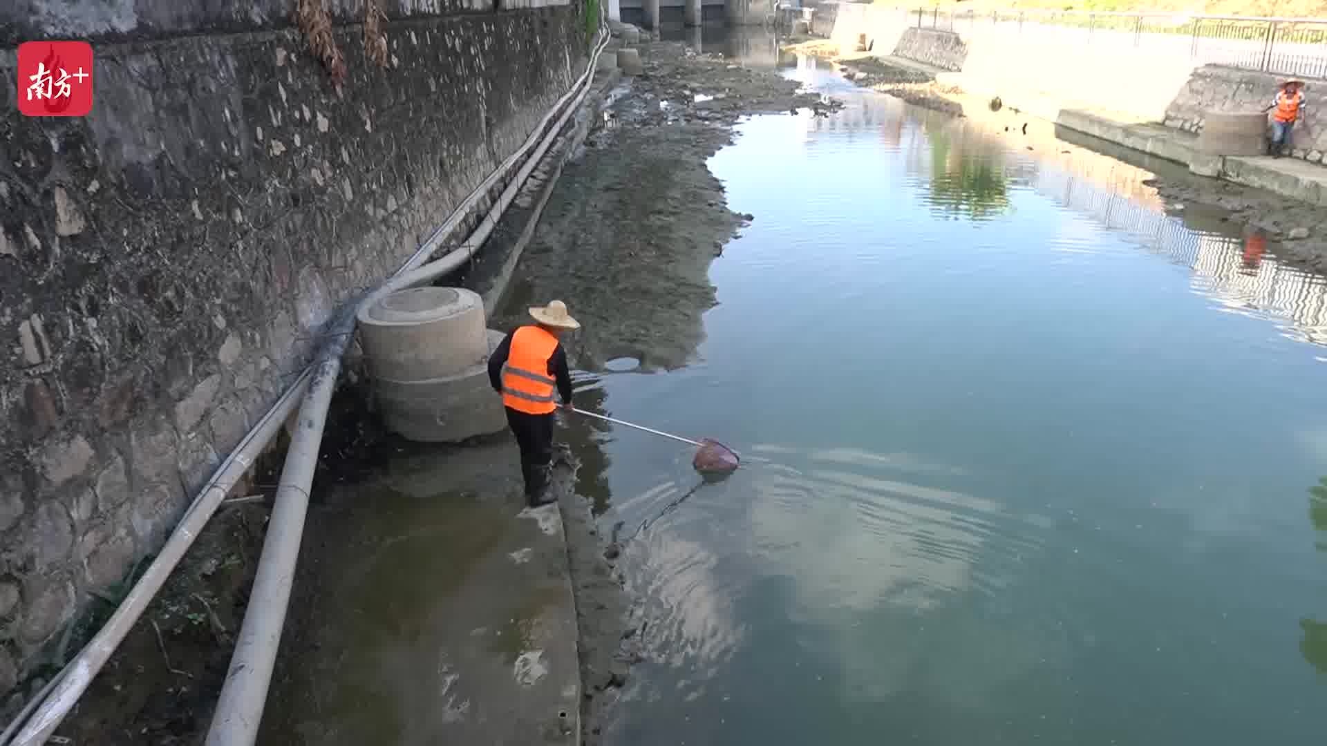 与很多河流不同