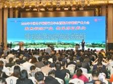 “铜”心聚力，厚积“箔”发！梅州市铜箔产业大会召开