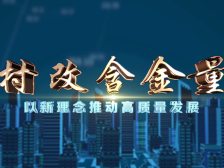 视频｜看！顺德北滘村改的“含金量”