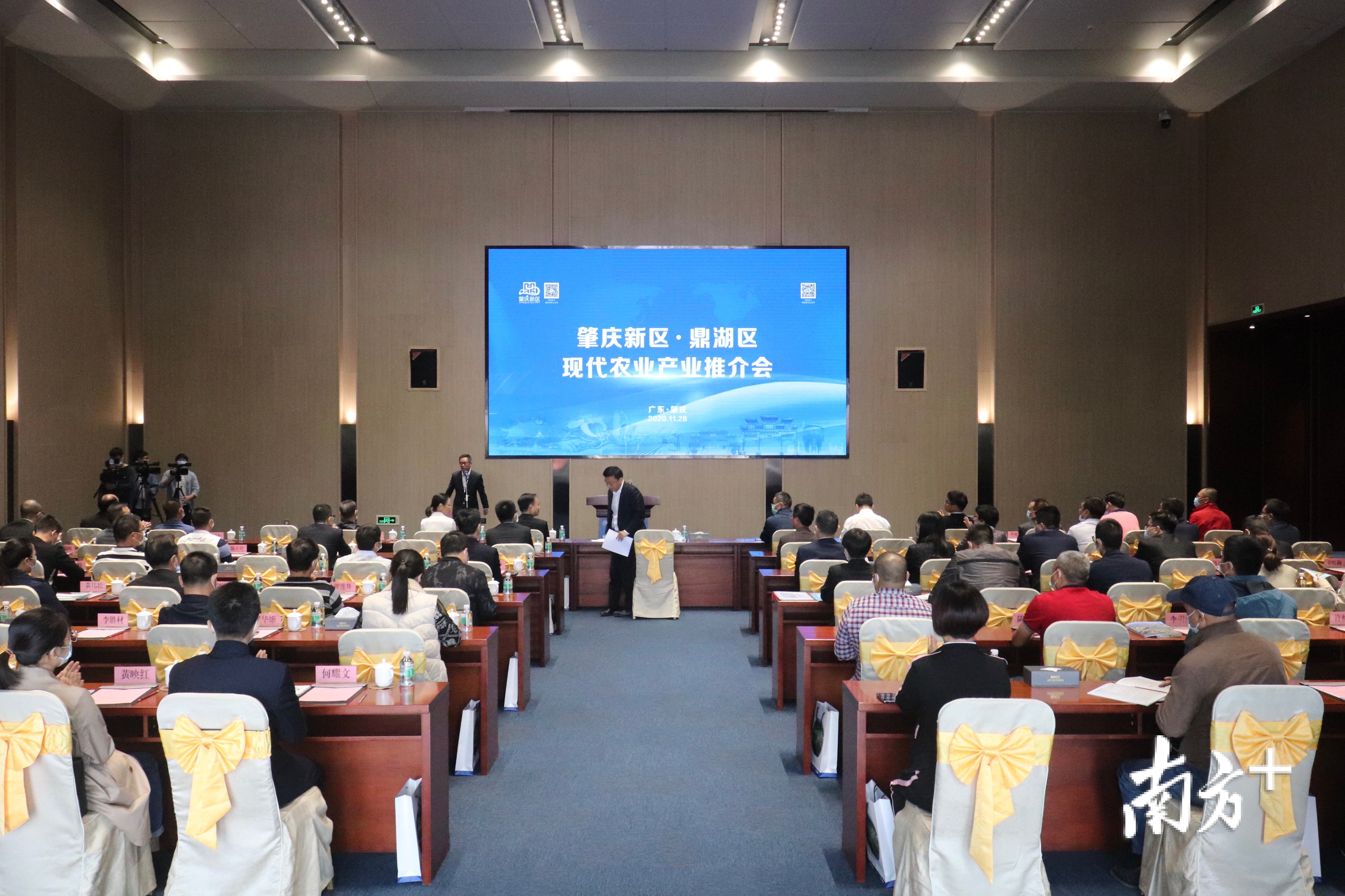 肇庆新区鼎湖区现代农业产业推介会现场。梁洁 摄