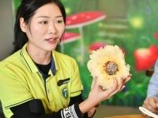 超20种珍稀食用菌，“佛味鲜生”带你品全蘑菇盛宴