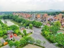 改革大学习｜丁力：南海应壮大集体经济，追求共同富裕