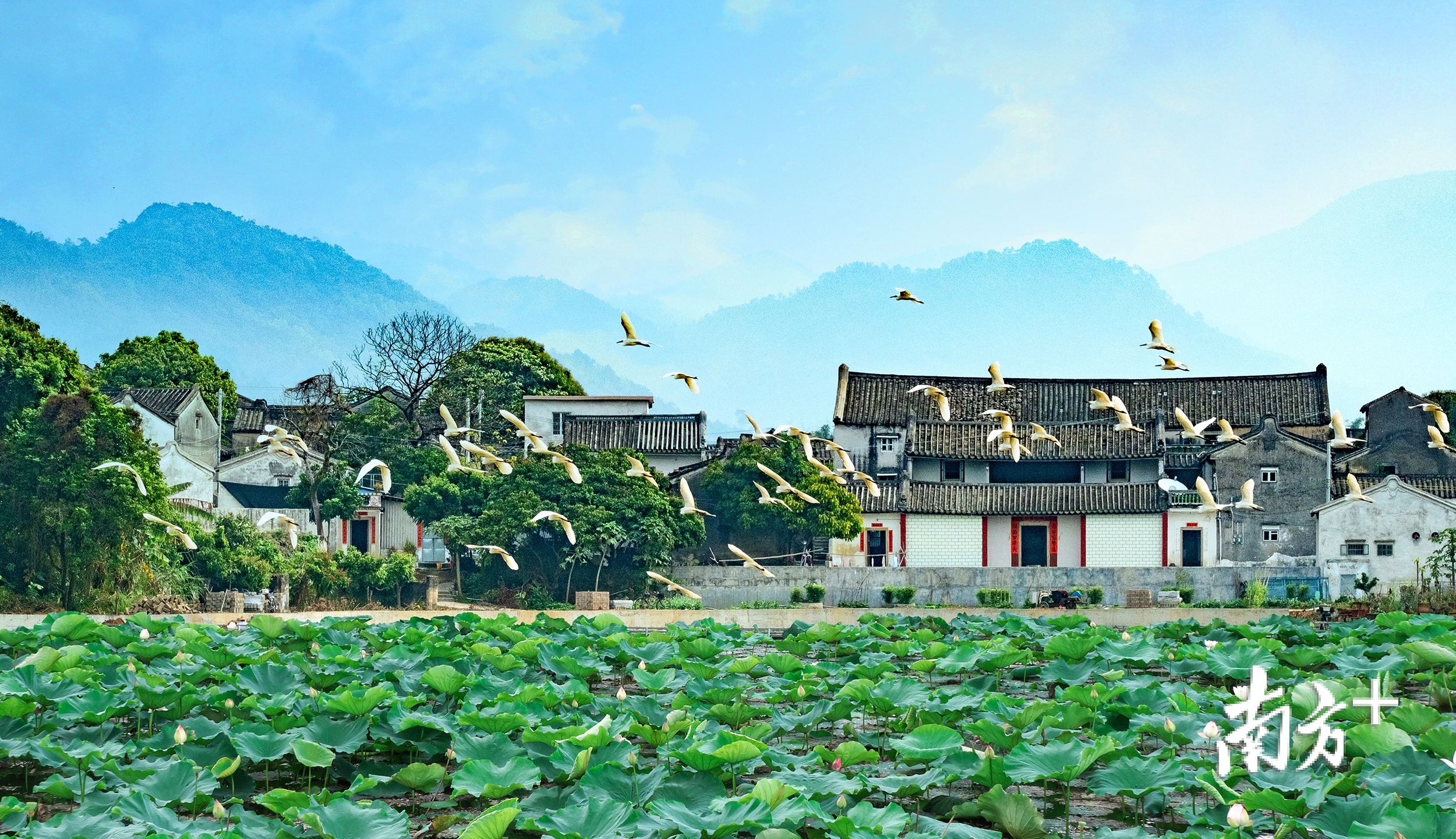 狮峰村。余利兴 摄