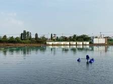 相约顺德均健，“佛味鲜生”教你一鱼多吃