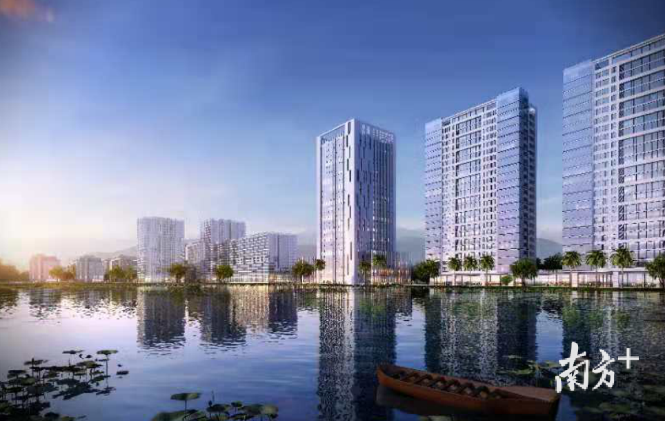 项目效果图 项目效果图