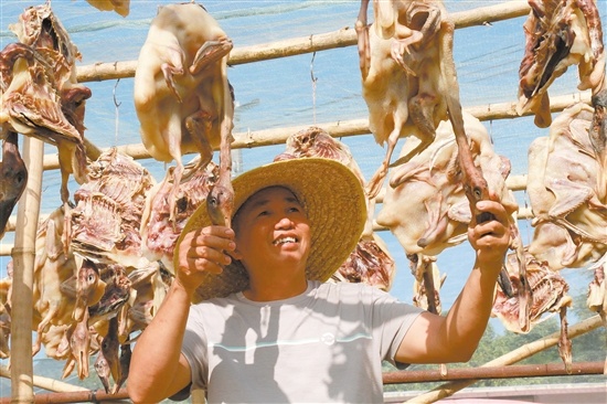 谭池旺看着即将晾晒完成的腊鸭，非常开心。 梁晓敏 摄