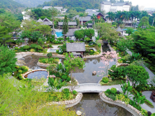 麻岗镇：特色产业成为乡村振兴“助推器”|回眸“十三五”·镇街印象