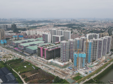 今年改造面积已超7000亩，北滘村改为何能“后来居上”？