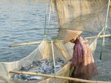 “佛味鲜生”走进顺德均健，教你如何一鱼多吃