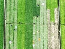 产业“星火”照亮“致富路”▏脱贫攻坚 清新担当