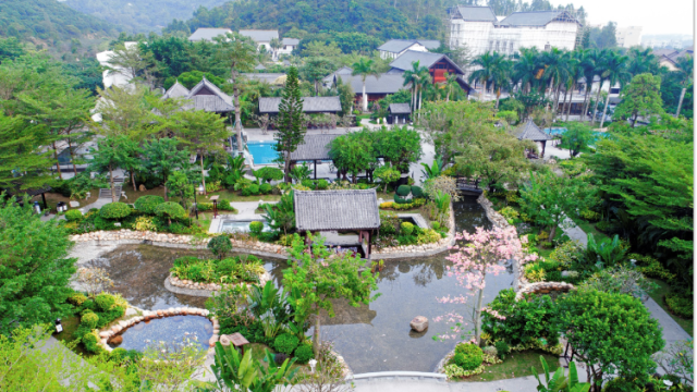 麻岗镇：特色产业成为乡村振兴“助推器”|回眸“十三五”·镇街印象