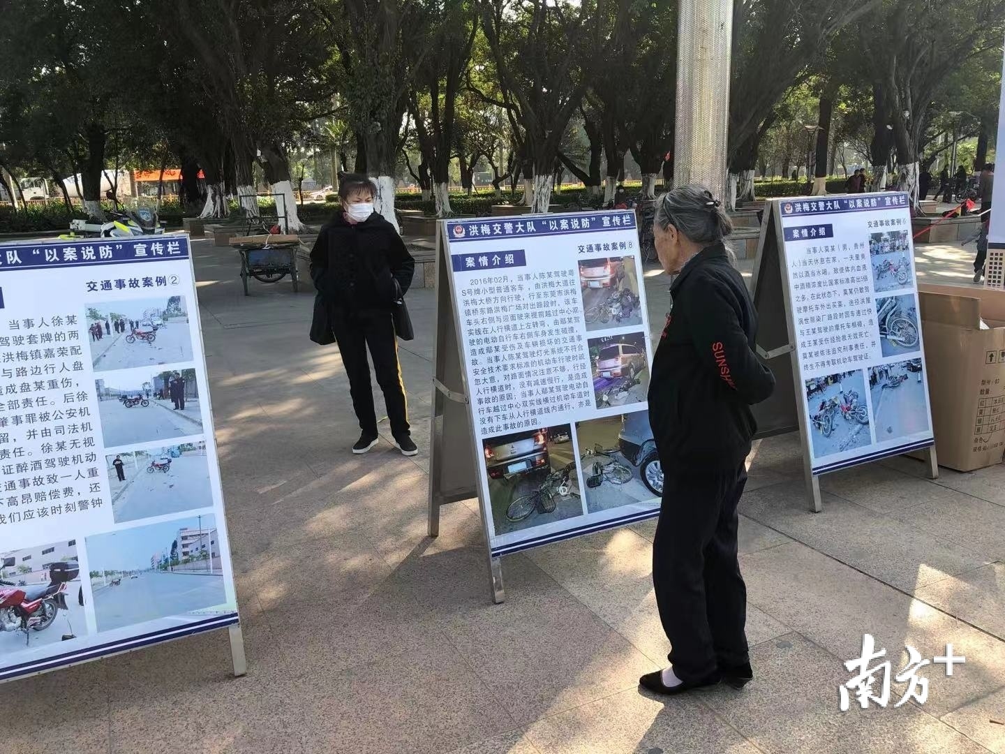 东莞开展交通安全日宣传活动聚人气