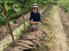 看优质粤菜食材养成记，“佛味鲜生”走进禾田农业