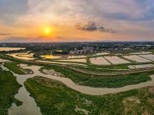 图说云东海｜“城市三水·镜美湾区”采风作品优选⑥