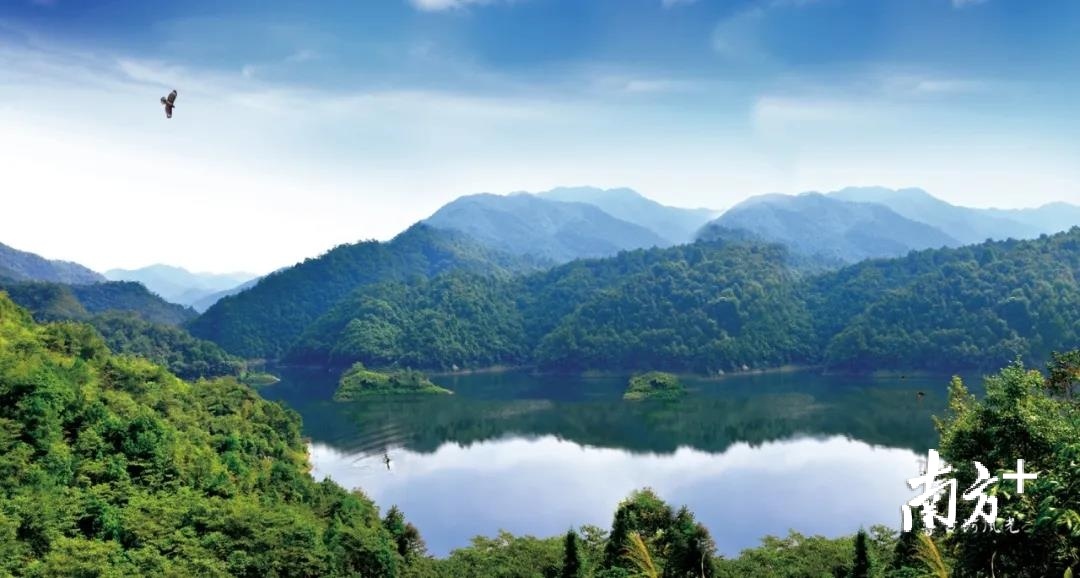 新丰县的绿水青山，铺就高质量发展的生态底色。