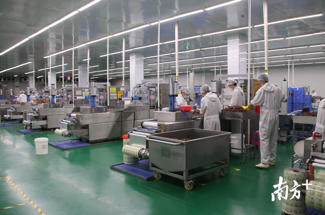 在无穷食品的生产车间，工作人员正在将腌制好的鸡翅放进全自动真空包装机的模具里，等待机器自动完成包装。受访者供图