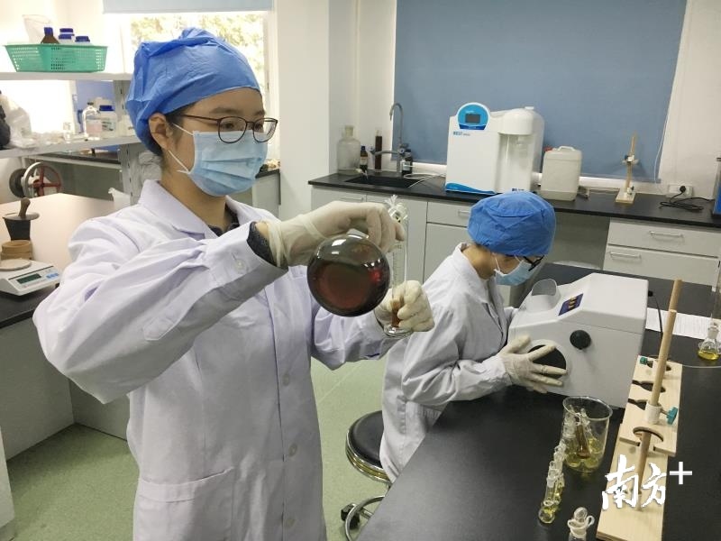 江门市建立新会陈皮研究院实验室。江门市五邑中医院供图
