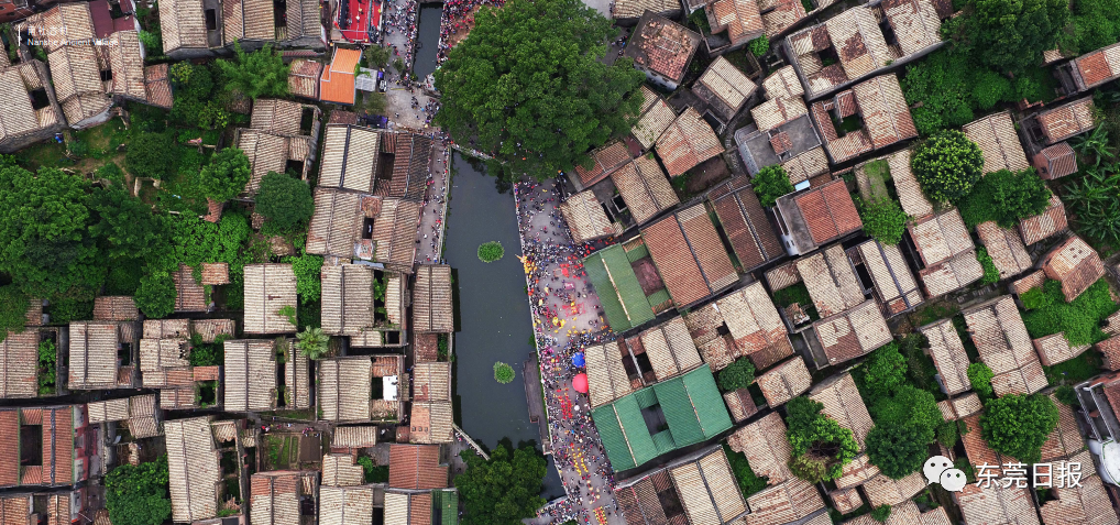 东莞城市画册震撼发布,网友:从打工仔到小老板,我与东莞共成长