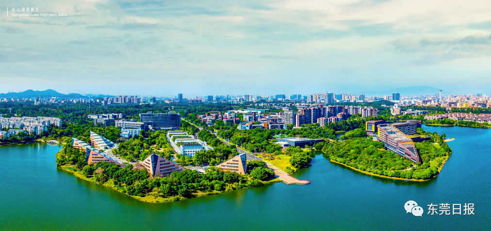 东莞城市画册震撼发布,网友:从打工仔到小老板,我与东莞共成长