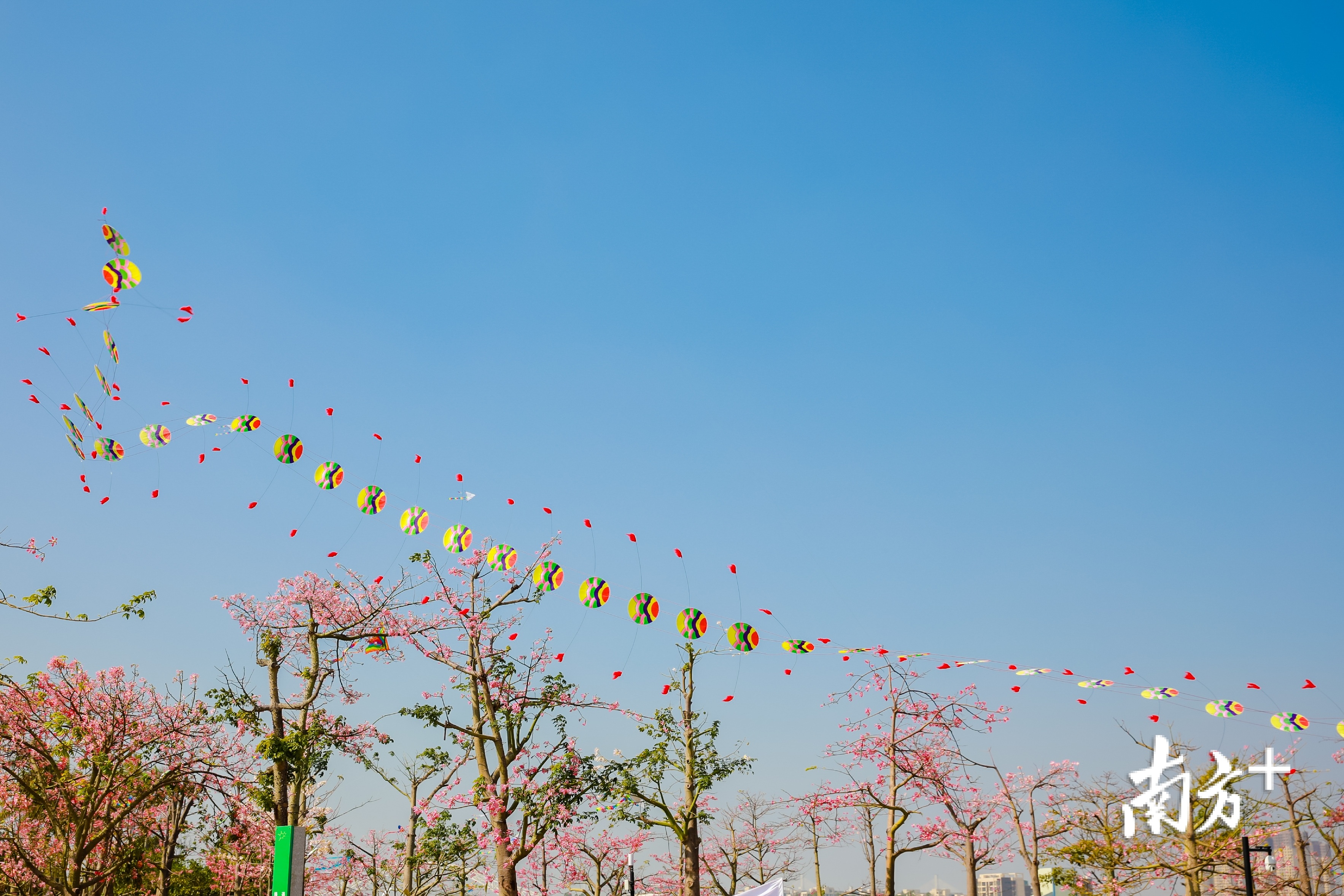 通讯员供图 通讯员供图